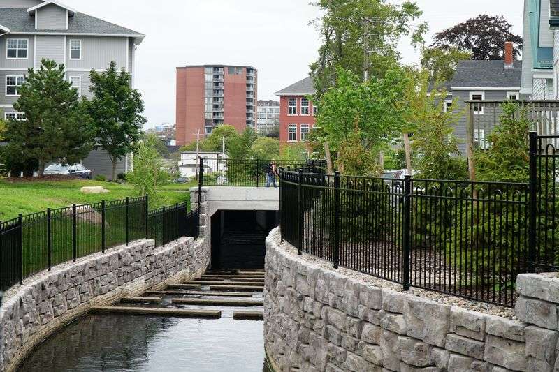 A waterway flows from above ground into a channel in a city. There are stone walls on either side of the river and fencing.