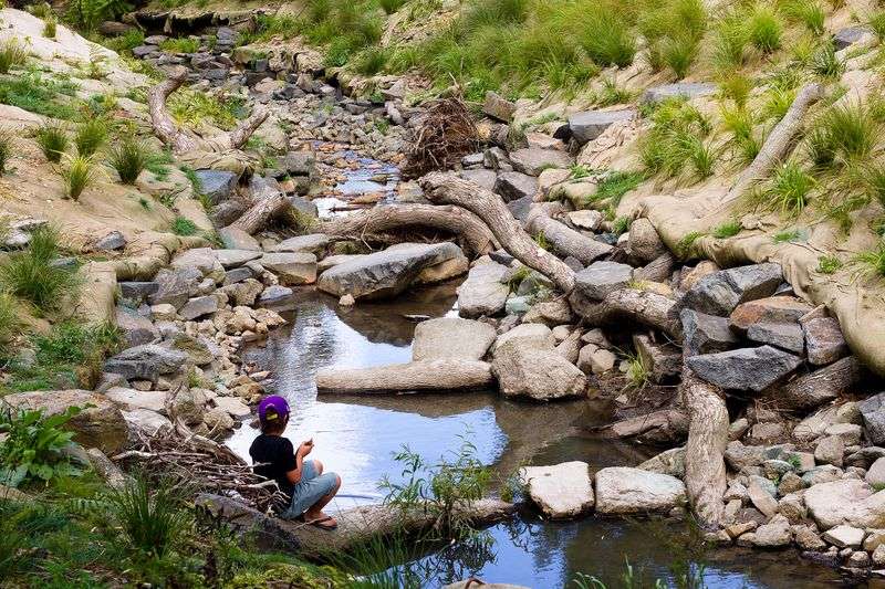 A child sits on a log in a waterway. There are stones in the water and its banks are sandy with patches of grass.