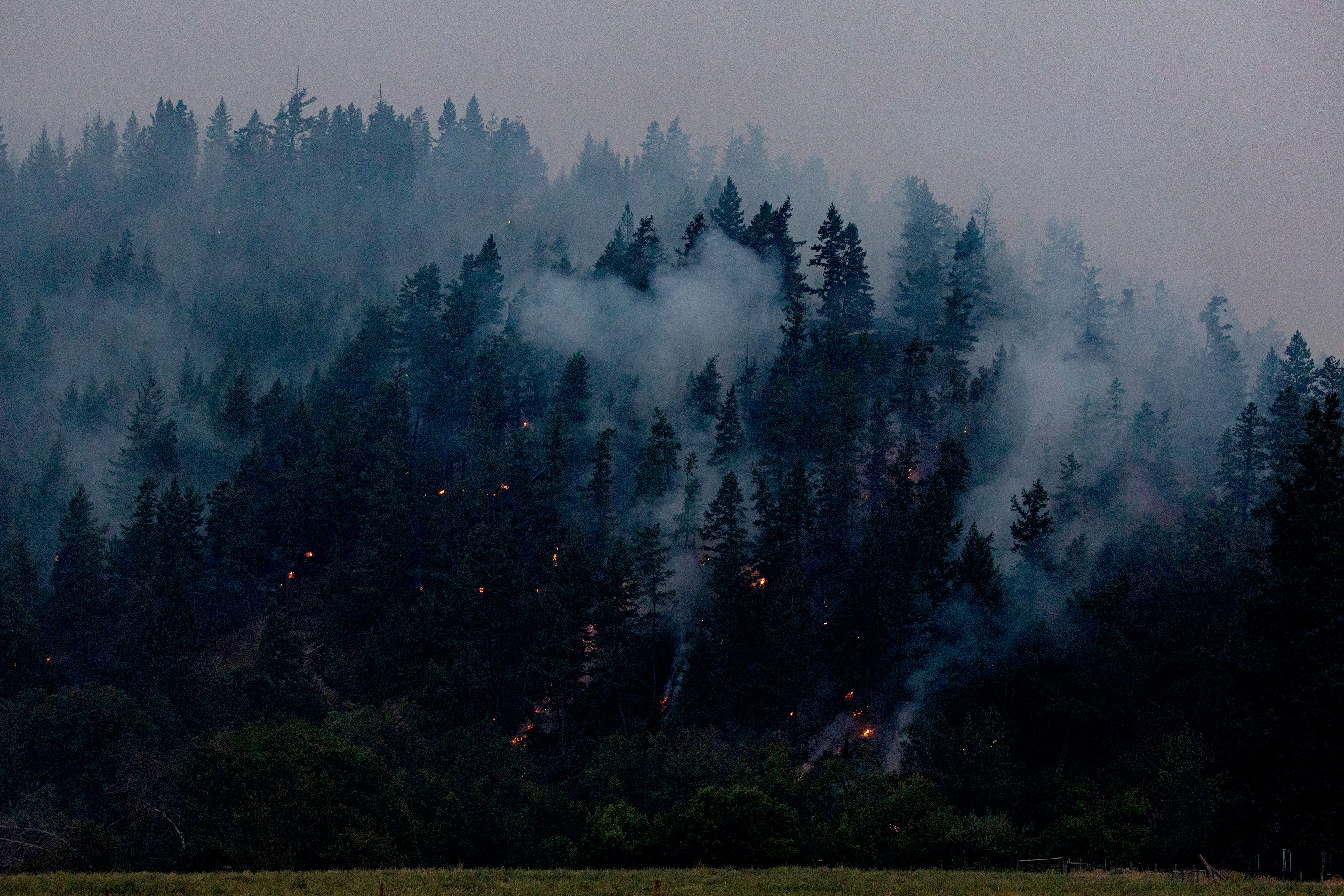 Trees burn near a ranch on the Skeetchestn reserve near Kamloops, B.C., on July 14, 2021.